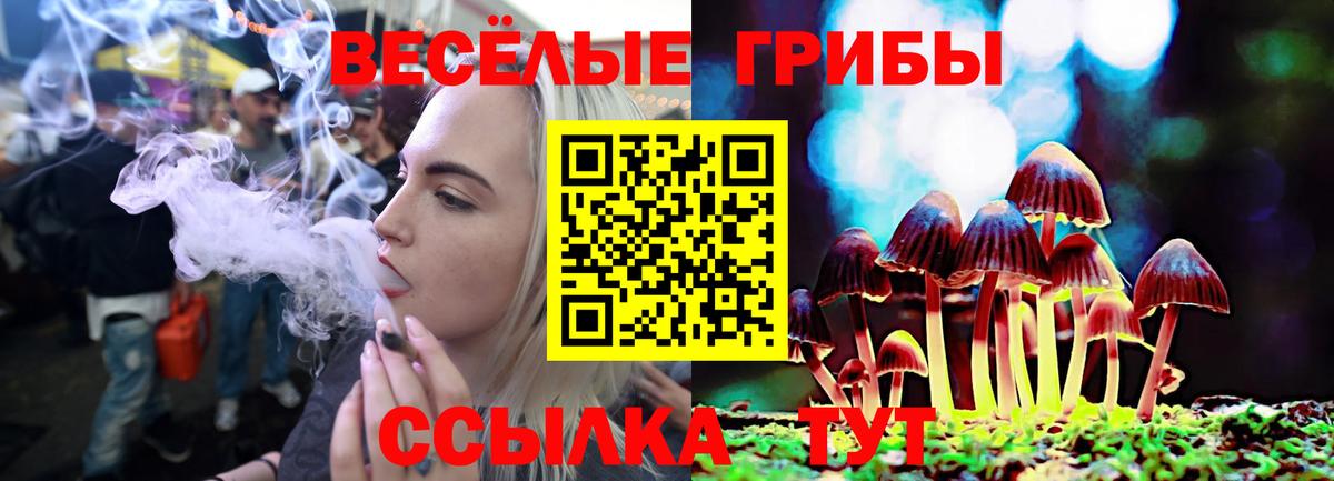 Галлюциногенные грибы Cubensis Новоалтайск